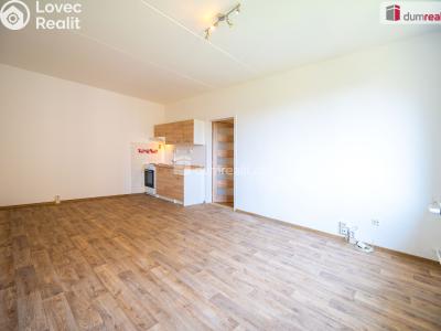 Pronájem bytu 1+1 České Budějovice, M. Chlajna č. 4