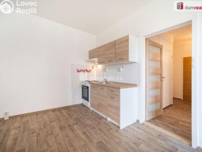 Pronájem bytu 1+1 České Budějovice, M. Chlajna č. 5