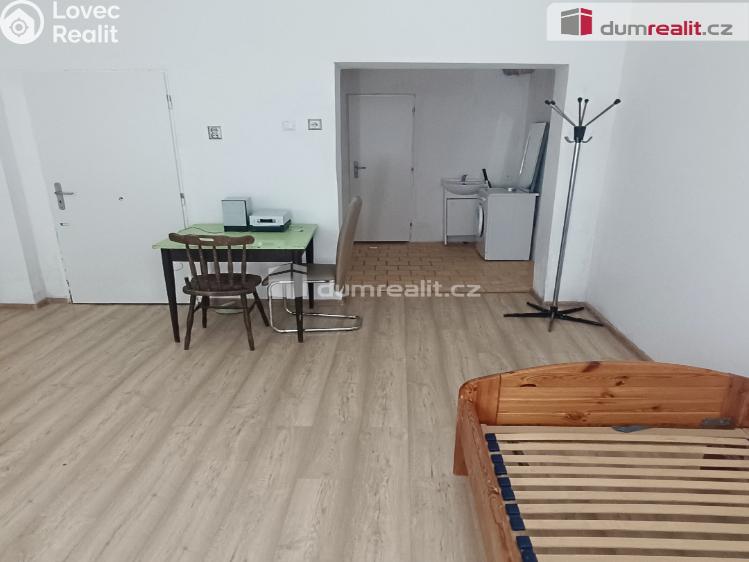 Pronájem bytu 1+KK Děčín, Divišova č. 1