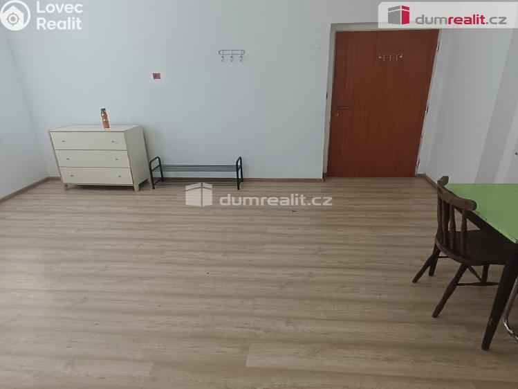 Pronájem bytu 1+KK Děčín, Divišova č. 5