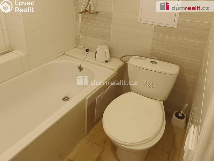 Pronájem bytu 1+KK Děčín, Divišova č. 7