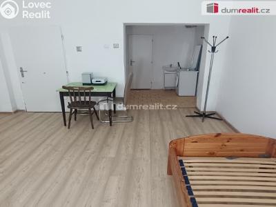 Pronájem bytu 1+KK Děčín, Divišova č. 1