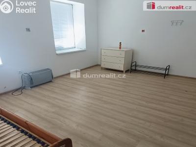 Pronájem bytu 1+KK Děčín, Divišova č. 3