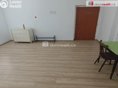 Pronájem bytu 1+KK Děčín, Divišova č. 5