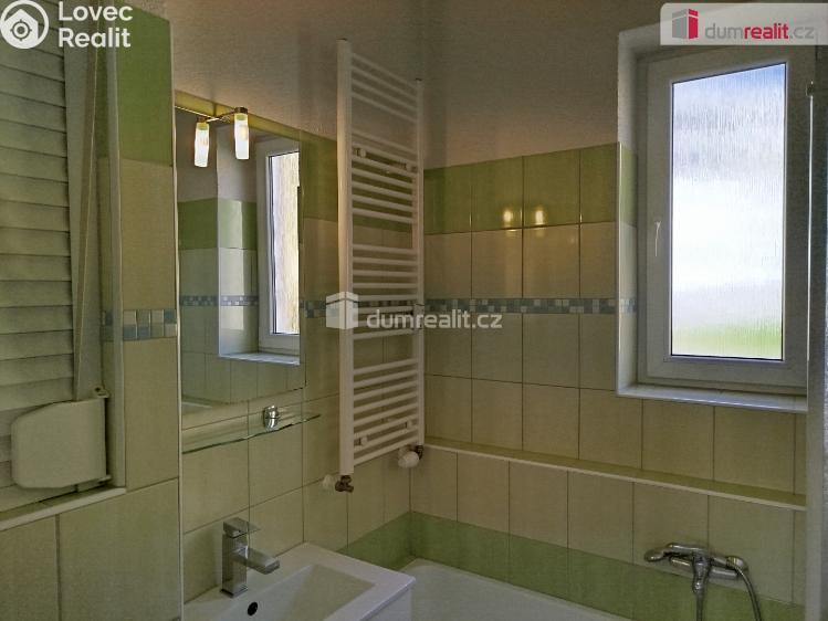 Pronájem bytu 1+1 Nejdek, Poštovní č. 17