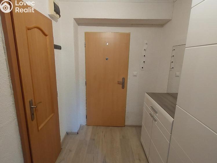 Pronájem bytu 2+1 Stříbro, Americká č. 6