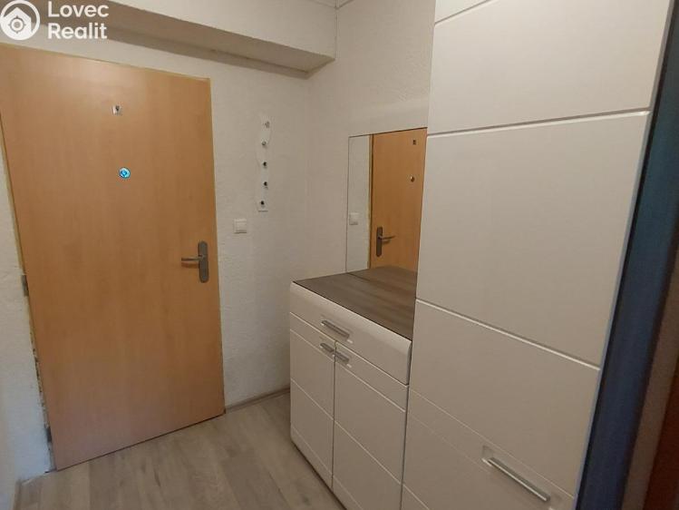 Pronájem bytu 2+1 Stříbro, Americká č. 11