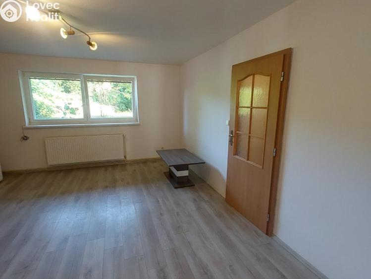 Pronájem bytu 2+1 Stříbro, Americká č. 13