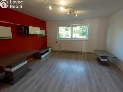 Pronájem bytu 2+1 Stříbro, Americká č. 2