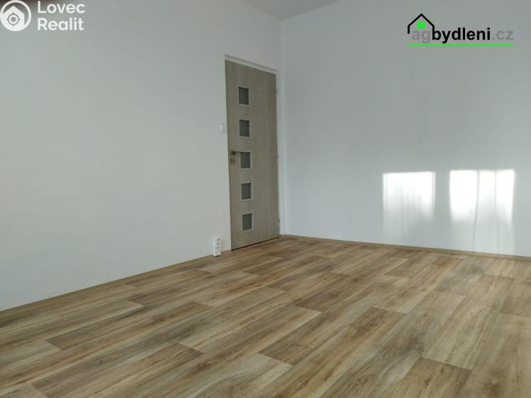 Pronájem bytu 2+1 Planá, Fučíkova č. 5