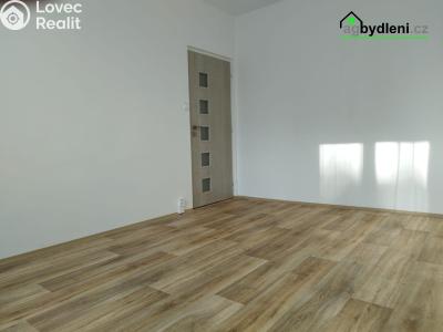 Pronájem bytu 2+1 Planá, Fučíkova č. 5