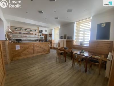 Pronájem komerční nemovitosti Kamýk nad Vltavou č. 1