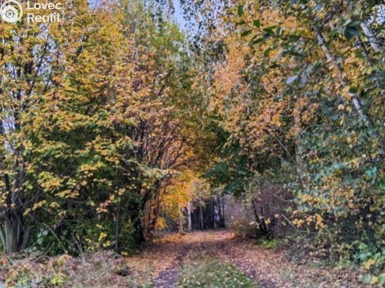 Prodej zahrady Čáslav, Vrchovská č. 2