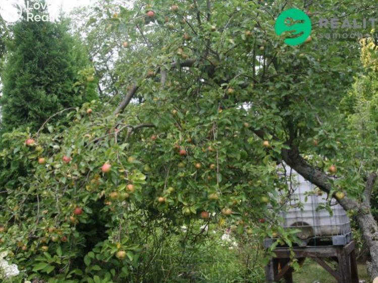 Prodej zahrady Čáslav, Vrchovská č. 10