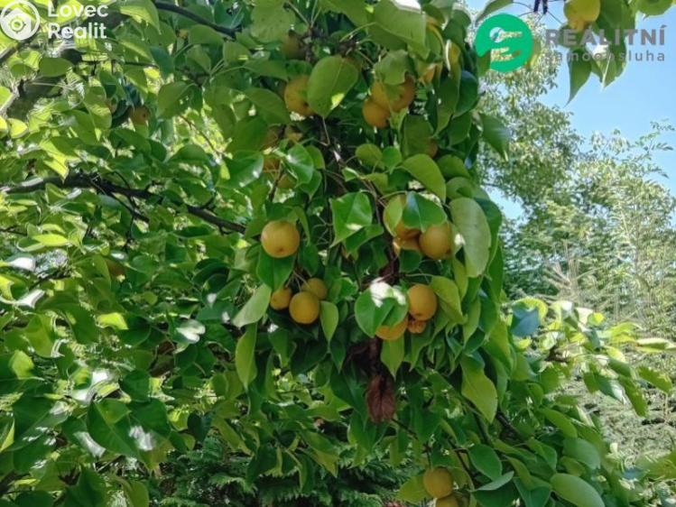 Prodej zahrady Čáslav, Vrchovská č. 11