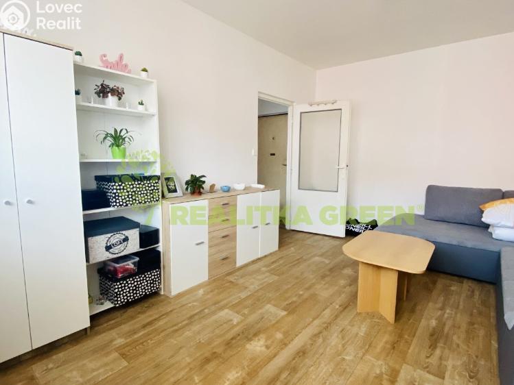 Rent apartment 1+1 Otrokovice č. 3