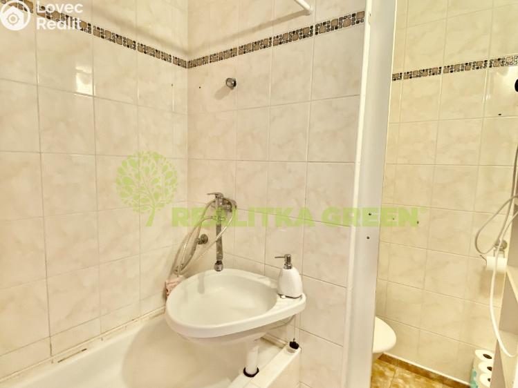 Rent apartment 1+1 Otrokovice č. 5