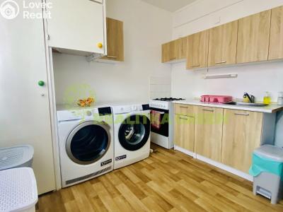 Pronájem bytu 1+1 Otrokovice č. 2