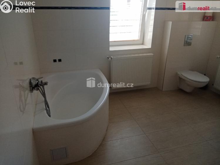 Pronájem bytu 1+1 Děčín, Novoměstská č. 12