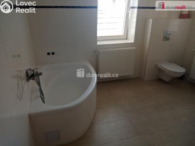 Pronájem bytu 1+1 Děčín, Novoměstská č. 6