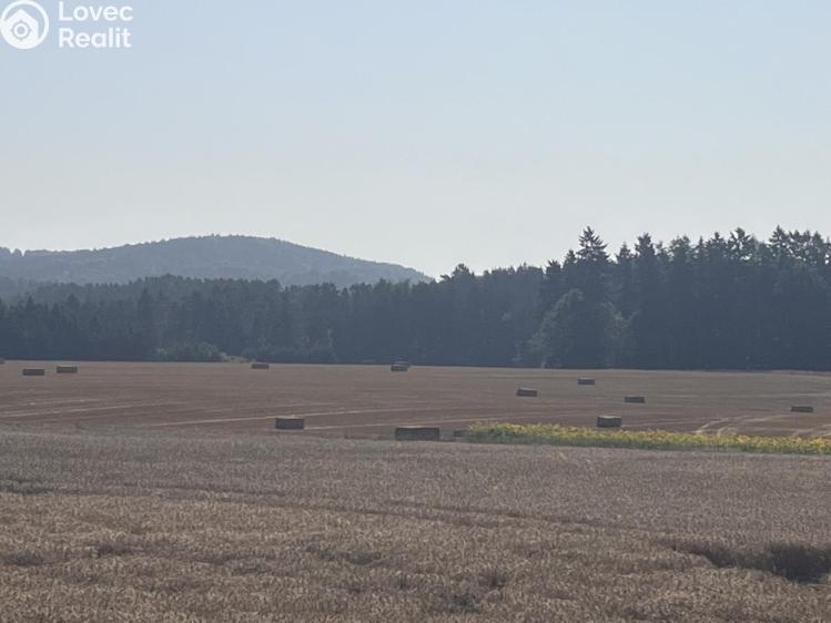 Prodej rodinného domu Ratibořské Hory č. 14