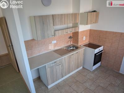 Pronájem bytu 1+1 Neratovice, Mládežnická č. 1