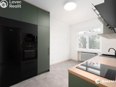 Оренда квартири 2+1 Zlín, B. Němcové 368 č. 1