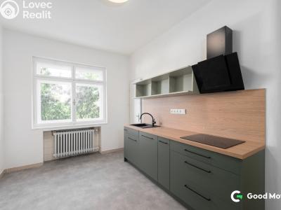 Rent apartment 2+1 Zlín, B. Němcové 368 č. 7