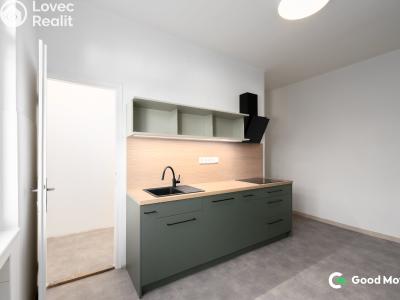 Rent apartment 2+1 Zlín, B. Němcové 368 č. 8