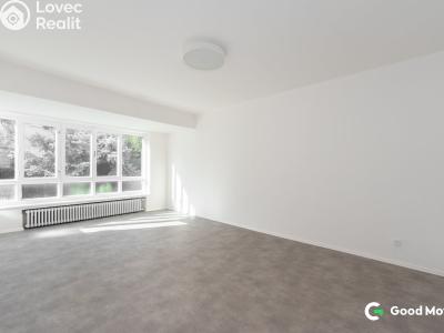 Rent apartment 2+1 Zlín, B. Němcové 368 č. 13