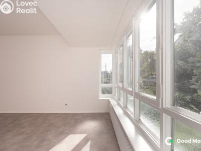Rent apartment 2+1 Zlín, B. Němcové 368 č. 14