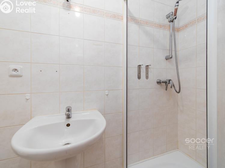 Sale apartment 1+KK Vestec, Okružní č. 8