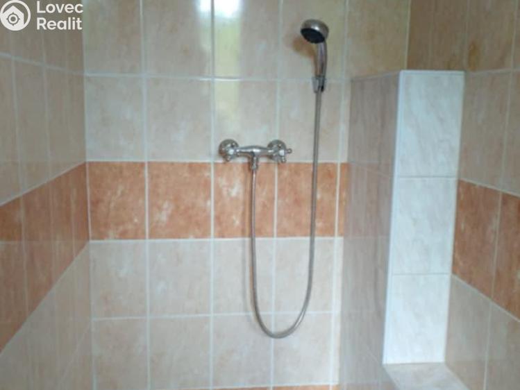 Pronájem bytu 1+KK Mostkovice č. 4