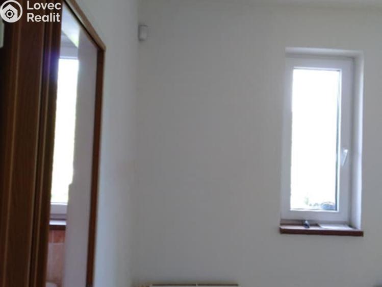 Pronájem bytu 1+KK Mostkovice č. 3