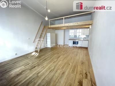 Pronájem bytu 1+KK Praha 5, Na Valentince č. 1