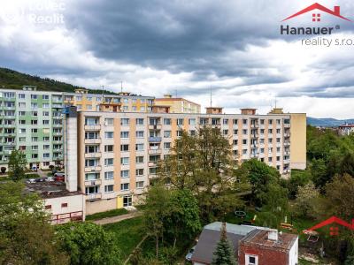 Оренда квартири 2+1 Krupka, Karla Čapka č. 1
