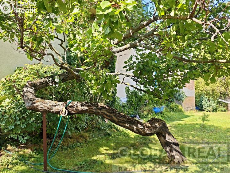 Продаж сімейного будинку Bohutice č. 25
