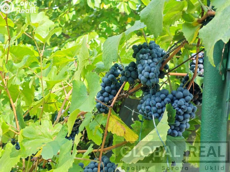 Продаж сімейного будинку Bohutice č. 26