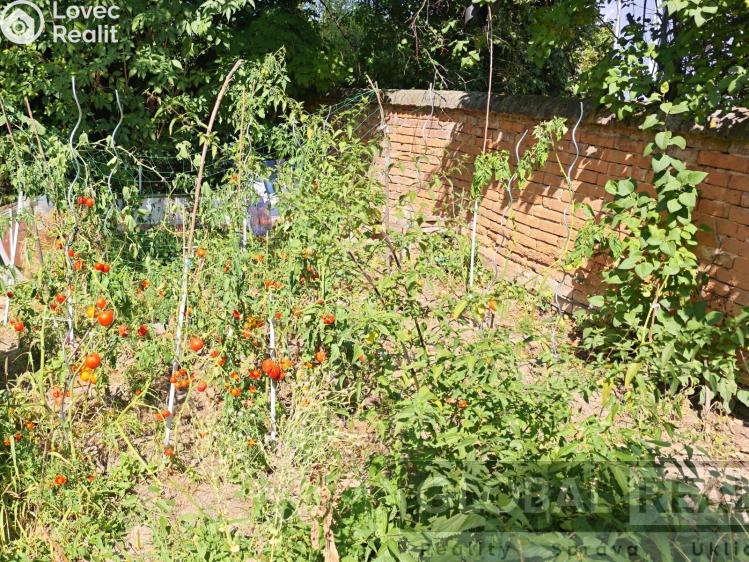 Продаж сімейного будинку Bohutice č. 32