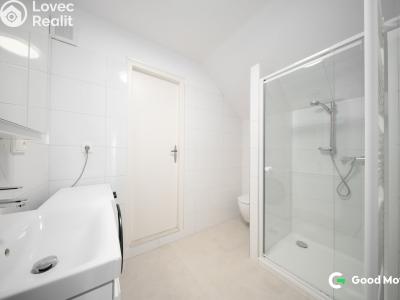 Pronájem bytu 1+1 Zlín, B. Němcové 368 č. 2