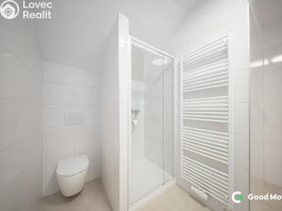 Pronájem bytu 1+1 Zlín, B. Němcové 368 č. 4