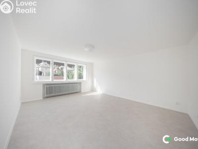 Pronájem bytu 1+1 Zlín, B. Němcové 368 č. 5