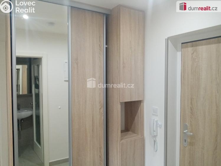 Pronájem bytu 1+1 Děčín, Zelená č. 2