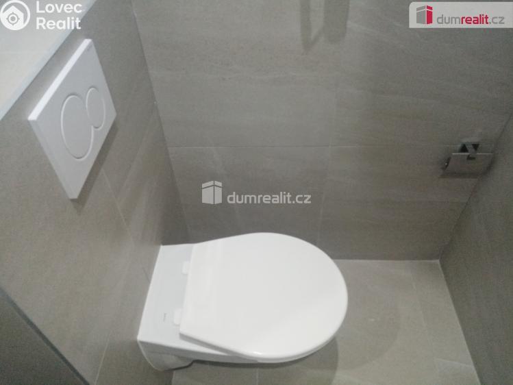 Pronájem bytu 1+1 Děčín, Zelená č. 7