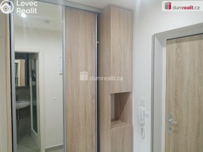 Pronájem bytu 1+1 Děčín, Zelená č. 2