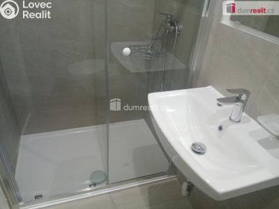Pronájem bytu 1+1 Děčín, Zelená č. 6