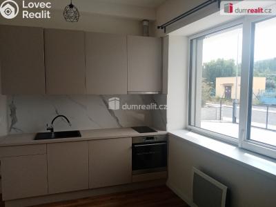 Pronájem bytu 1+KK Děčín, Zelená č. 2