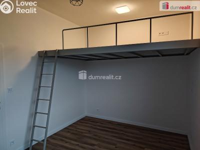 Pronájem bytu 1+KK Děčín, Zelená č. 5