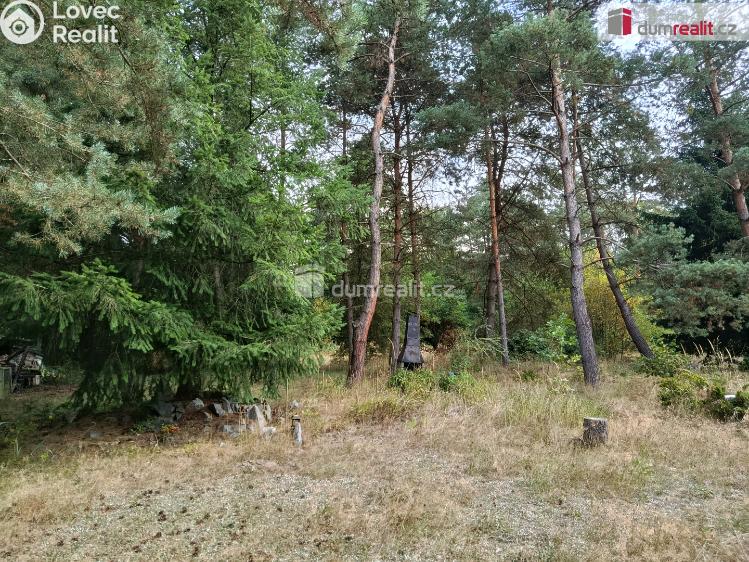 Pronájem rodinného domu Týnec nad Sázavou č. 7