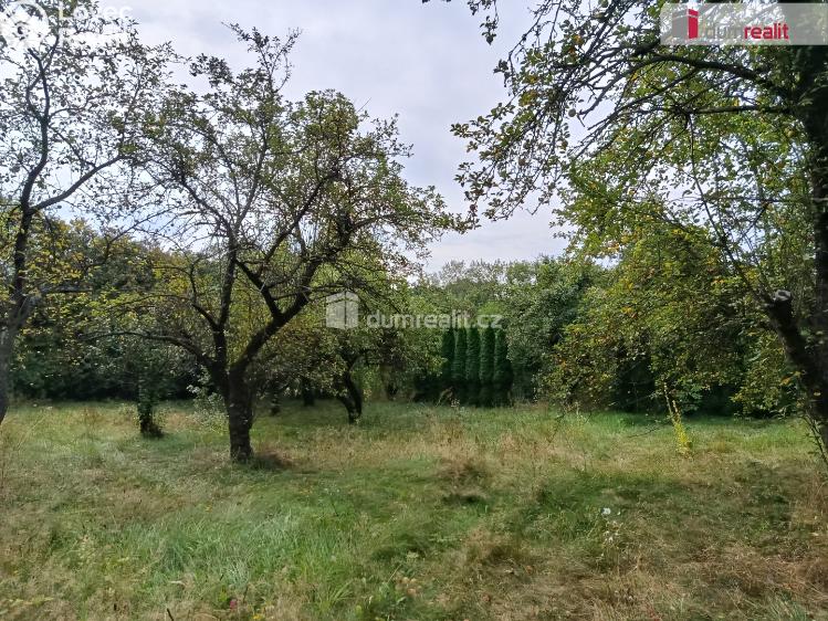Pronájem rodinného domu Týnec nad Sázavou č. 8
